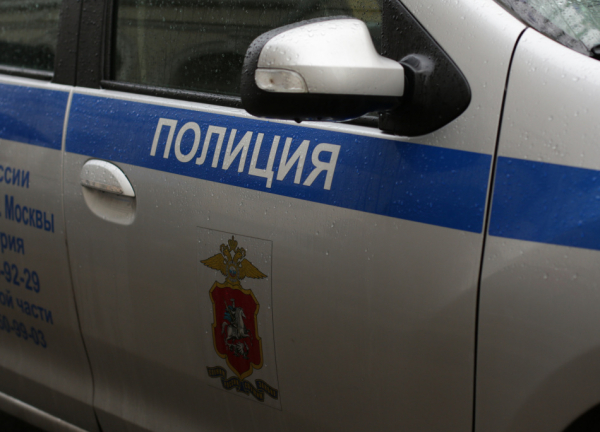 В Гатчине завели дело о похищении после пропажи 12-летней девочки