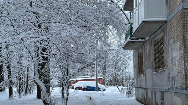 В Петербурге коммунальщики убирали 5 см снега, выпавшего за ночь