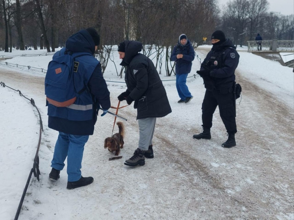 В Петербурге 11 владельцев собак получили протоколы после рейда В Петербурге 11 владельцев собак получили протоколы после рейда