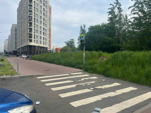 Петербуржцы нашли самый бесполезный светофор в городе Петербуржцы нашли самый бесполезный светофор в городе