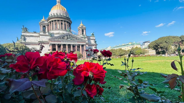 Летняя жара: синоптик пообещал петербуржцам прогрев до +24 градусов к началу новой недели Летняя жара: синоптик пообещал петербуржцам прогрев до +24 градусов к началу новой недели