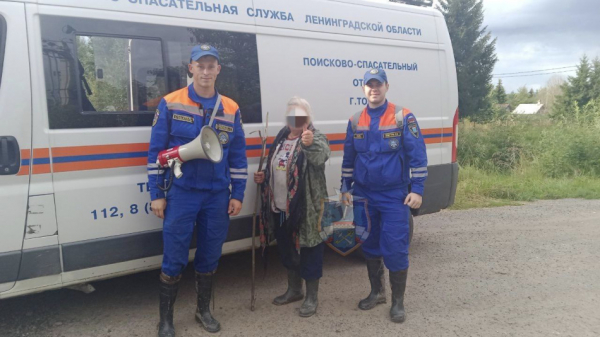 В лесах Тосненского района спасатели успешно завершили операцию по поиску заблудившейся пожилой женщины В лесах Тосненского района спасатели успешно завершили операцию по поиску заблудившейся пожилой женщины