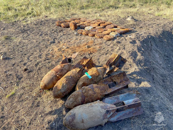 В Тосненском районе ликвидировали опасные находки времен войны В Тосненском районе ликвидировали опасные находки времен войны
