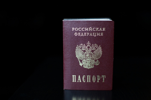 Петербурженку будут судить за сожжение паспорта в прямом эфире в интернете Петербурженку будут судить за сожжение паспорта в прямом эфире в интернете