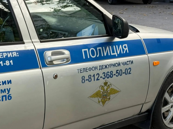 За грабеж женщины в Красном Селе задержали ранее судимого жителя Стрельны За грабеж женщины в Красном Селе задержали ранее судимого жителя Стрельны
