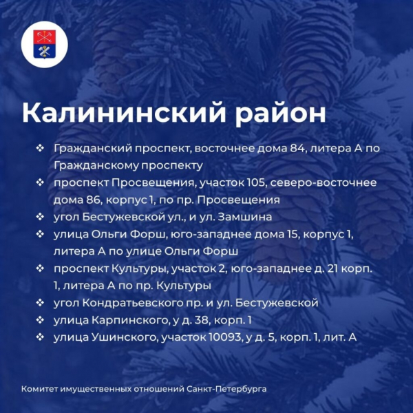 Елочные базары открылись на улицах Петербурга&nbsp;&ndash;&nbsp;карта мест и адреса точек