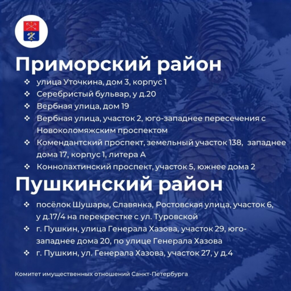 Елочные базары открылись на улицах Петербурга&nbsp;&ndash;&nbsp;карта мест и адреса точек