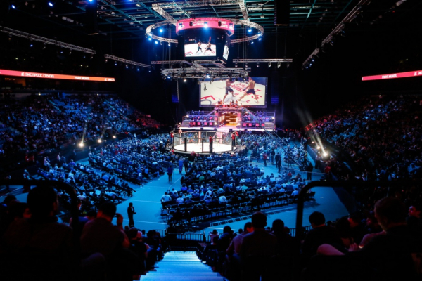 Петр Ян вновь стал чемпионом UFC после победы над Двалишвили Петр Ян вновь стал чемпионом UFC после победы над Двалишвили
