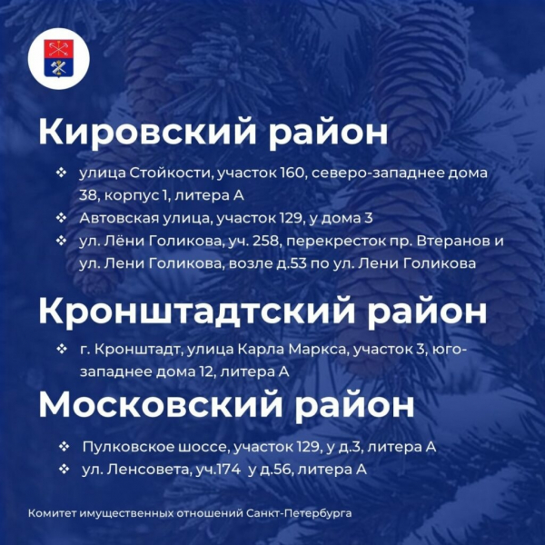 Елочные базары открылись на улицах Петербурга&nbsp;&ndash;&nbsp;карта мест и адреса точек
