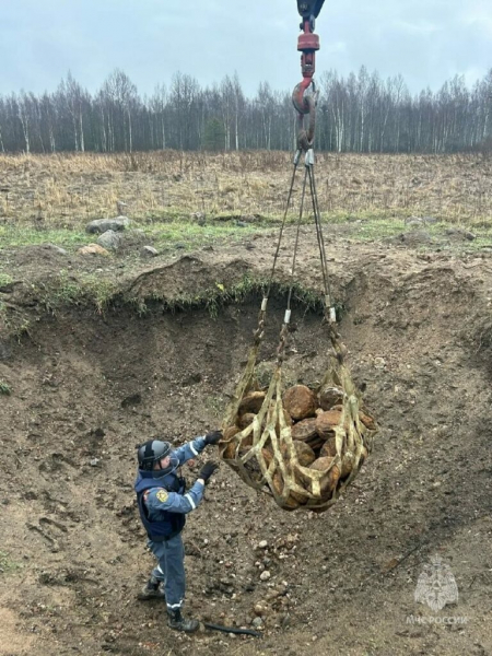 Взрывоопасная находка: под Петербургом откопали сотню мин и восемь авиабомб времен ВОВ Взрывоопасная находка: под Петербургом откопали сотню мин и восемь авиабомб времен ВОВ