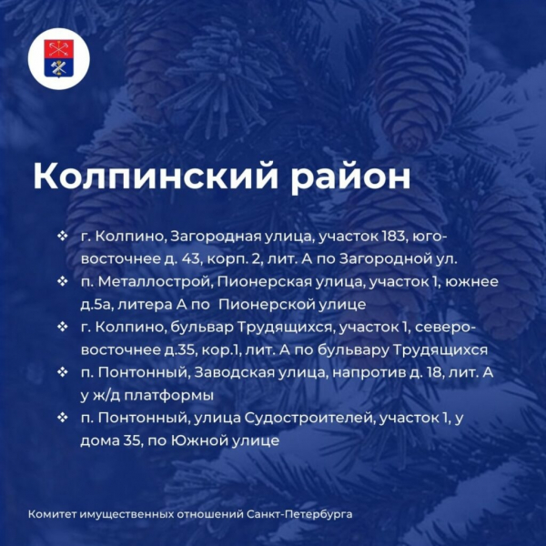 Елочные базары открылись на улицах Петербурга&nbsp;&ndash;&nbsp;карта мест и адреса точек