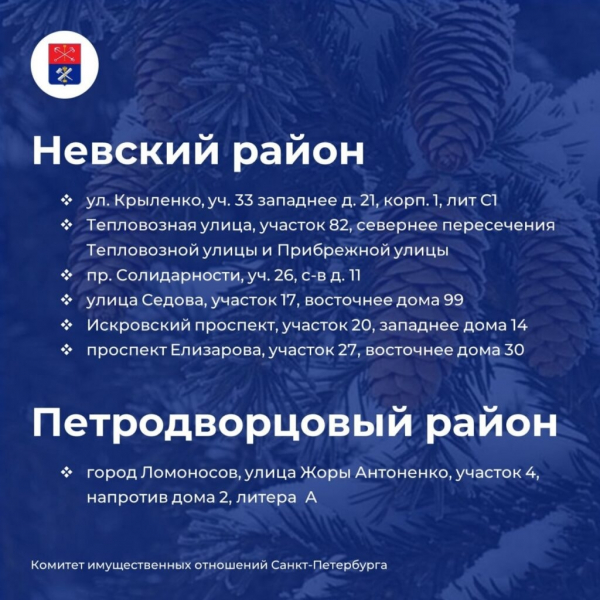 Елочные базары открылись на улицах Петербурга&nbsp;&ndash;&nbsp;карта мест и адреса точек