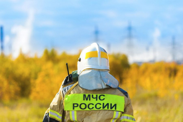 27 декабря: какой праздник сегодня 27 декабря: какой праздник сегодня