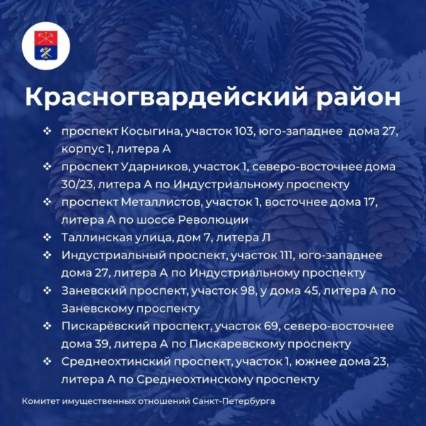 Елочные базары открылись на улицах Петербурга&nbsp;&ndash;&nbsp;карта мест и адреса точек