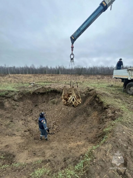 Взрывоопасная находка: под Петербургом откопали сотню мин и восемь авиабомб времен ВОВ Взрывоопасная находка: под Петербургом откопали сотню мин и восемь авиабомб времен ВОВ