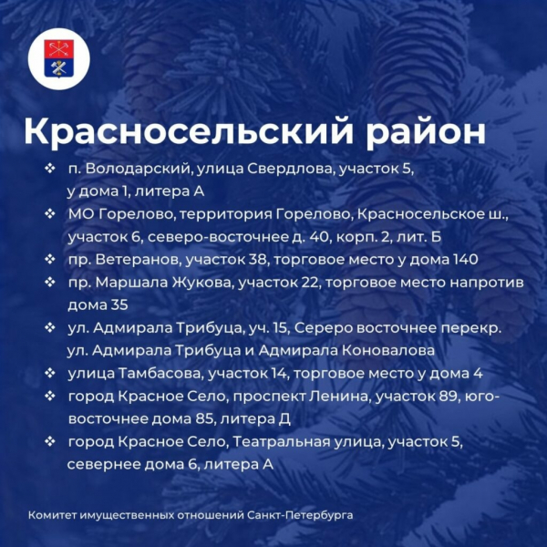 Елочные базары открылись на улицах Петербурга&nbsp;&ndash;&nbsp;карта мест и адреса точек