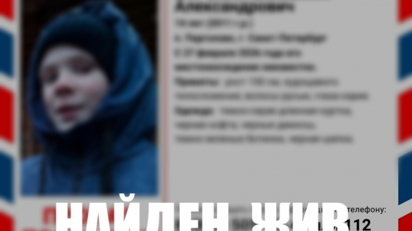 Поиски исчезнувшего подростка из Парголово остановили &mdash; чем завершилась поисковая операция?