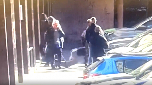 Наркобарыг и наркоманов задержали в центре Петербурга: видео Наркобарыг и наркоманов задержали в центре Петербурга: видео