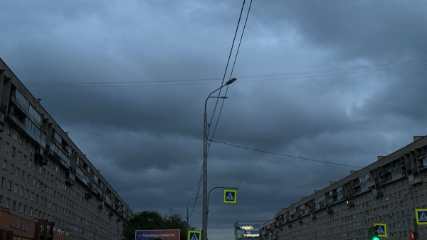 День города в Петербурге пройдет при +8 градусах и под зонтами. С 30 мая потеплеет
